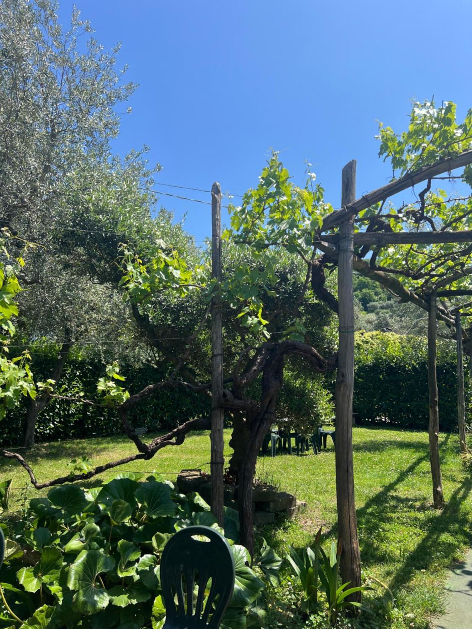 Willa Agriturismo Le Grottelle SantʼAgata sui Due Golfi Zewnętrze zdjęcie